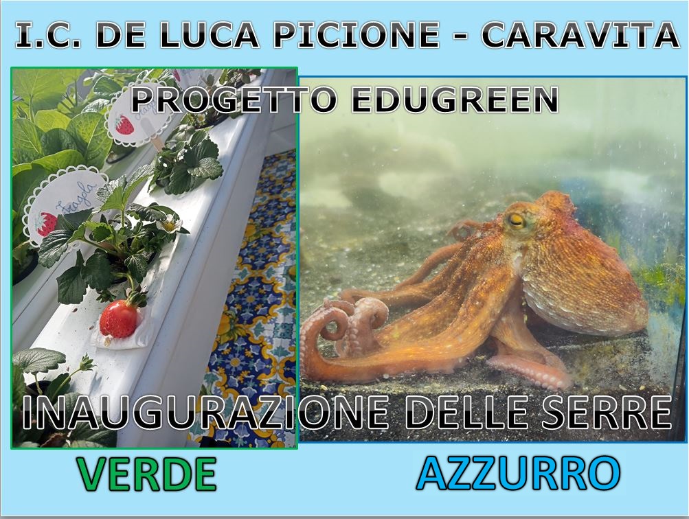 INAUGURAZIONE DEI LABORATORI VERDE E AZZURRO DEL PROGETTO EDUGREEN
